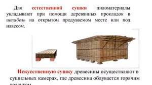 6 класс Механические свойства древесины
