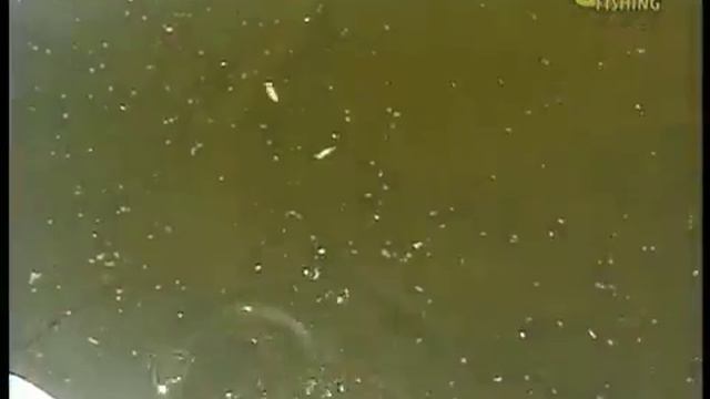 Рыбалка Щербаковых 27. Ловля Окуня на Джиг-приманки. смотреть онлайн