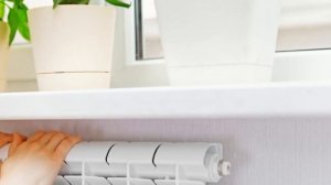 Как защитить РАСТЕНИЯ НА ПОДОКОННИКЕ зимой от морозного воздуха при проветривании