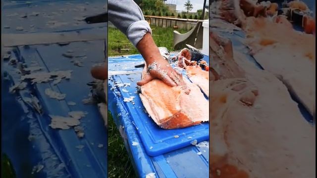 Разделка рыбы. Быстрая разделка рыбы на филе,стейки. Лосось