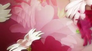 ФУТАЖ Цветы - Footage Flowers