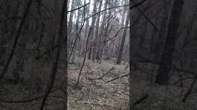 черти,бесы,лярвы семьяСвета и Тьмы и при чем сдесь церковь