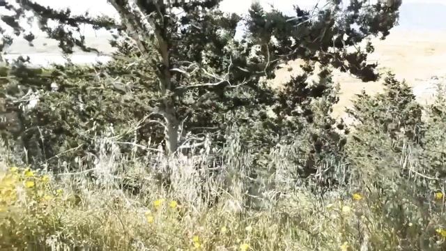 Рыбалка на Кипре. смотреть онлайн