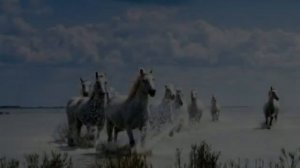 Jean-Jacques Goldman - Comme toi