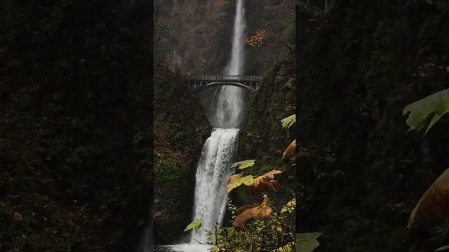 iguazu falls 4k #Short Video