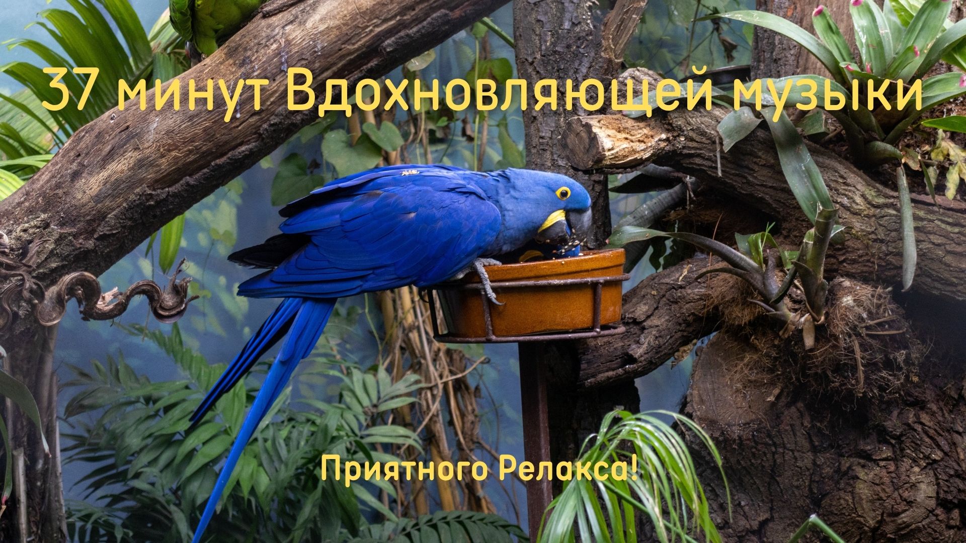 Музыкальная подборка ♬ 25 – Вдохновляющая музыка ( Inspirational Music).