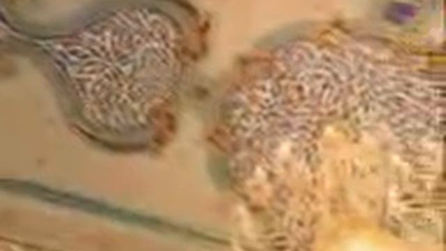 Рисование на стенах смотреть онлайн