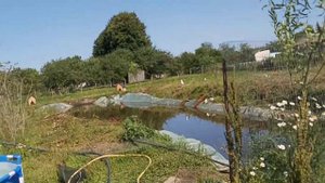 Строим вольер для Голубей  08 07 21 г