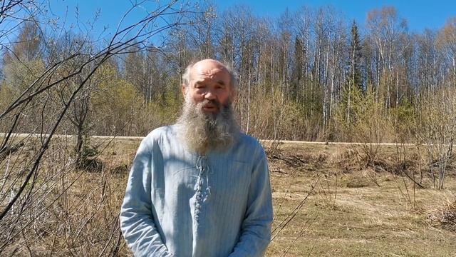 Михаил Лапин делится опытом о пользе деревьев. смотреть онлайн