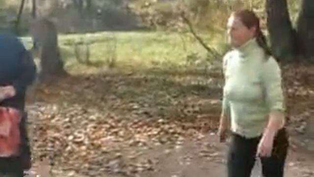 извара рулит!!!!! смотреть онлайн