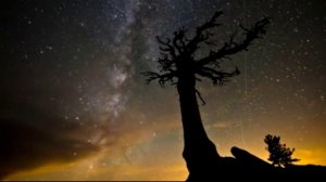 Наталья Фатеева "Улетай на крыльях ветра" Князь Игорь