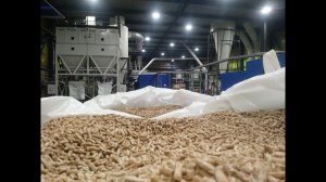 Пеллетный завод 2+2 т/ч, г. Усть-Илимск, Иркутская область