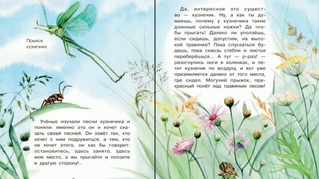 #1 Зачем кузнечику разноцветные крылья и чем полезна божья коровка? смотреть онлайн