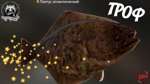 ПАЛТУС -  ТРОФЕЙНЫЙ - НОРВЕЖСКОЕ МОРЕ  РУССКАЯ РЫБАЛКА 4 | RUSSIAN FISHING 4 @Z-B-G