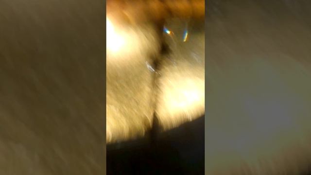 У меня день рождения и я в океанариуме со своей семьей и друзьями🐧🐊🐢🦎🐠🐟🦈🐡 смотреть онлайн