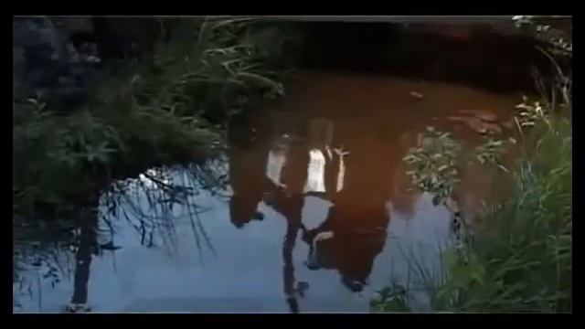 допустимая нагрузка на винтовую сваю смотреть онлайн