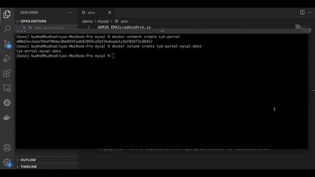 How to install Tyk's Enterprise Developer Portal with mySQL смотреть онлайн