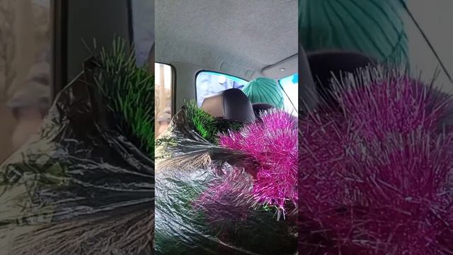 #181region #краснодон Нам кажется дети не пристегнуты.. смотреть онлайн