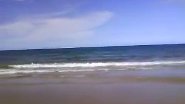 Тихий океан. Восточное побережье Австралии. смотреть онлайн