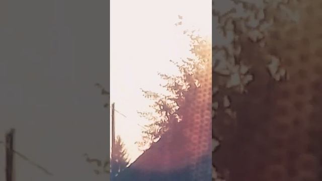 суть тренда увеличить камеру на макс. и показать куда ты снимаешь смотреть онлайн