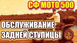 СФ МОТО ремонт задней ступицы. Замена подшипника и пальцев.