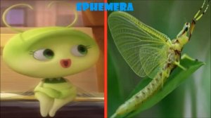 Larva Real Life Characters SMS TV