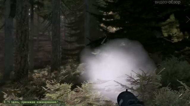 Обзор игры ArmA 2