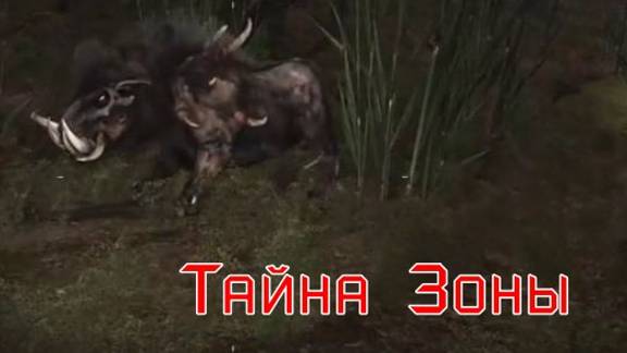 S.T.A.L.K.E.R. Тайна зоны №3. Свалка. Гигантский кабан.