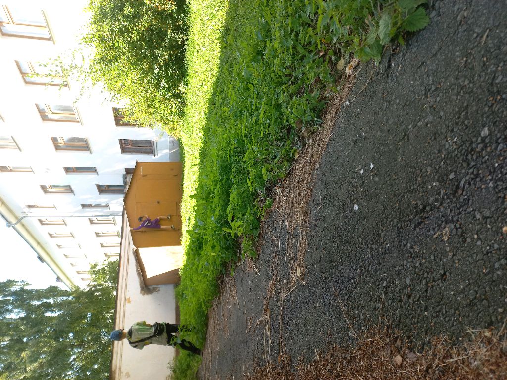 80797979976886686868686868585757