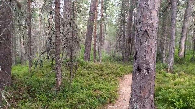 Русский Cевер 2020 - часть 2. КИЙ-ОСТРОВ. Архангельская область.