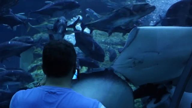 See Dubai | Madeline Fedmont #aroundtheworld смотреть онлайн