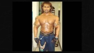 Плоды СИНТОЛА Synthol in GYM