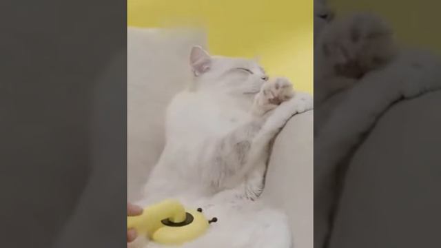 Щетка расческа для кошек смотреть онлайн