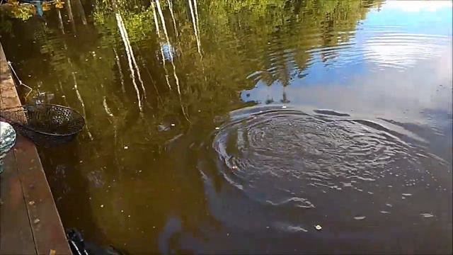 До запуска - резина, после - и железо, и резина. смотреть онлайн