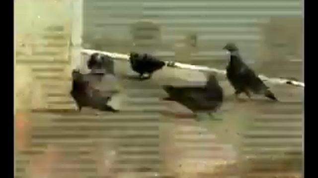 Я - Оренбуржец, и этим горжусь