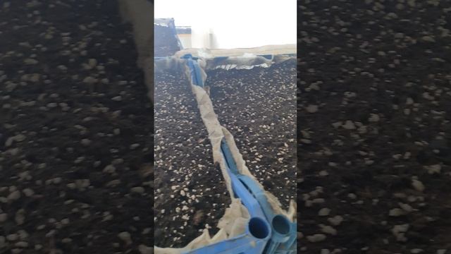 Первые Всходы Малины - Ежевики на 8.01.2023 год смотреть онлайн