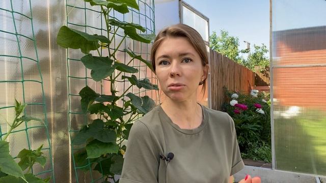 Мульчирование скошенной травой: ВРЕД, ОПАСНОСТЬ и ЗАБЛУЖДЕНИЯ о горячей мульче смотреть онлайн