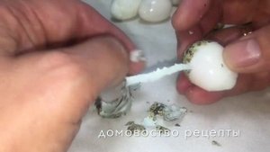 ЯЙЦА ПЕРЕПЕЛИНЫЕ ВСМЯТКУ МОЖИТЕ ? Как почистить яйца?