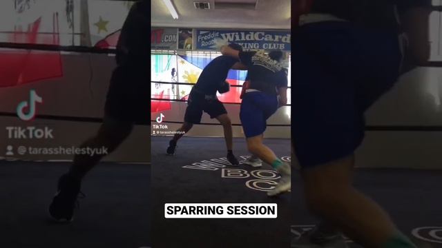 Man down! Sparring session of Taras Shelestyuk in Los Angeles.