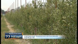 СОВРЕМЕННЫЕ ТЕХНОЛОГИИ В ИНТЕНСИВНОМ САДОВОДСТВЕ