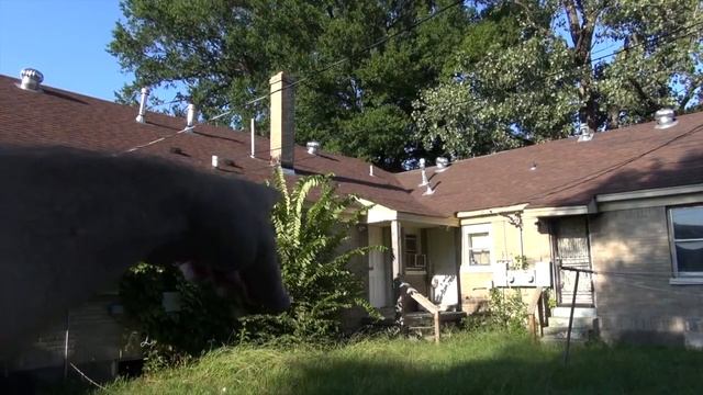 Elvis Presley Audition Scotty & Bill First Meeting Happened Here The Spa Guy смотреть онлайн