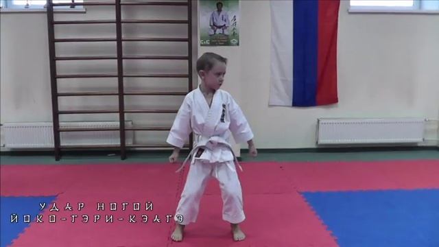 Базовая техника каратэ для новичков клуба "Сёгун" смотреть онлайн