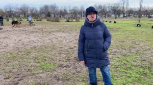 Клетка для собаки в квартире