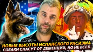 РАСИСТСКИЙ СКАНДАЛ В ИСПАНИИ | СОБАКИ СПАСУТ ОТ ДЕМЕНЦИИ