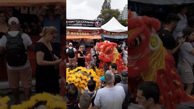 ANO NOVO CHINÊS 06. #AnoNovoChinês2024 #anonovochines #dragão #leão #comemoraçao #festival