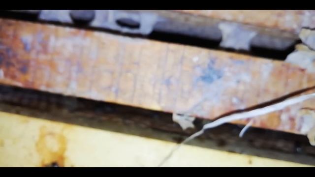 Первые потери при зимовке пчел.- Зимовка пчел.