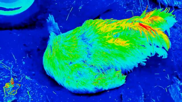 Мэддисона ПУГАЮТ СГ, ГР. ОБ., КИШ смотреть онлайн