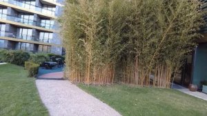 #16. Mriya Resort & SPA. Еще один денек на отдыхе.  Ресторан Азур.