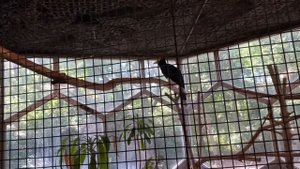 Город Росток. Зоопарк. Германия.