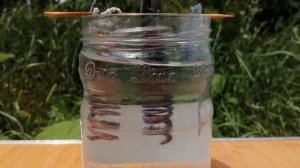 Плазменная вода, результаты. Ганс собрался на дне за 10 дней. Как сделать живую воду.